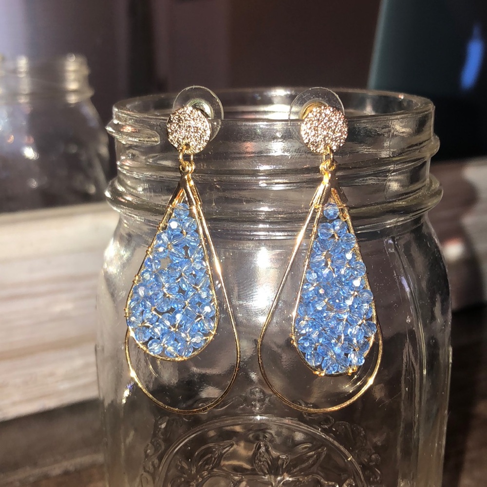 Francesca’s Blue Dangling Earrings